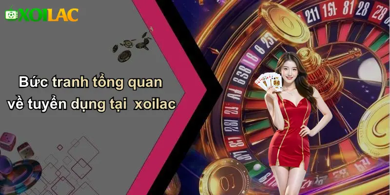 Bức tranh tổng quan về tuyển dụng tại xoilac