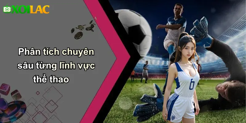 Phân tích chuyên sâu từng lĩnh vực thể thao