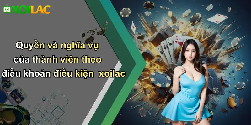 Quyền và nghĩa vụ của thành viên theo điều khoản điều kiện xoilac