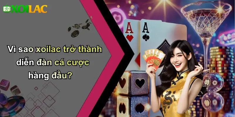 Vì sao xoilac trở thành diễn đàn cá cược hàng đầu?