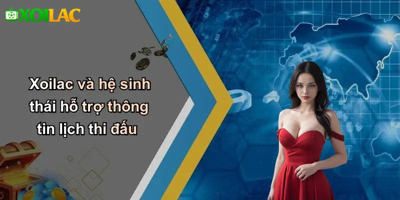 Xoilac và hệ sinh thái hỗ trợ thông tin lịch thi đấu