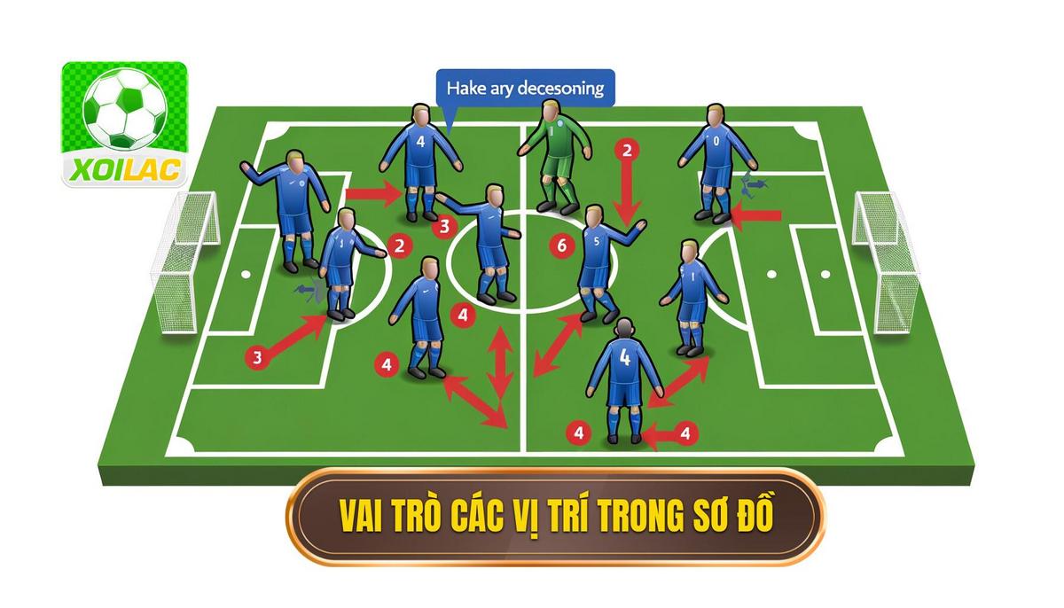 2. Vai trò của từng vị trí trong sơ đồ