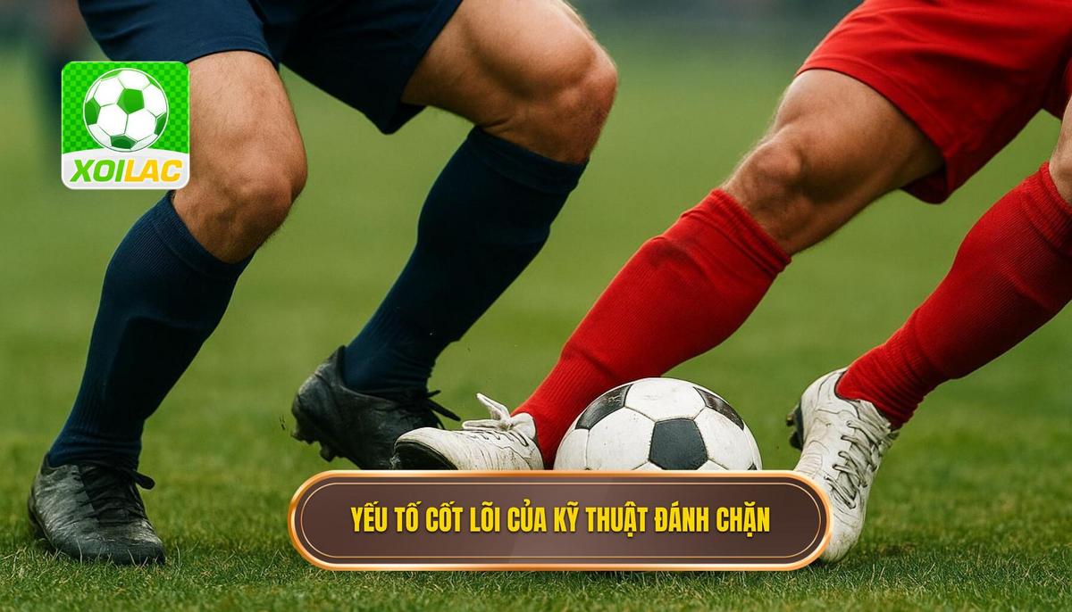 Phần 2_ Các Yếu tố Cốt lõi Tạo nên Kỹ thuật Đánh Chặn Bóng Hiệu quả