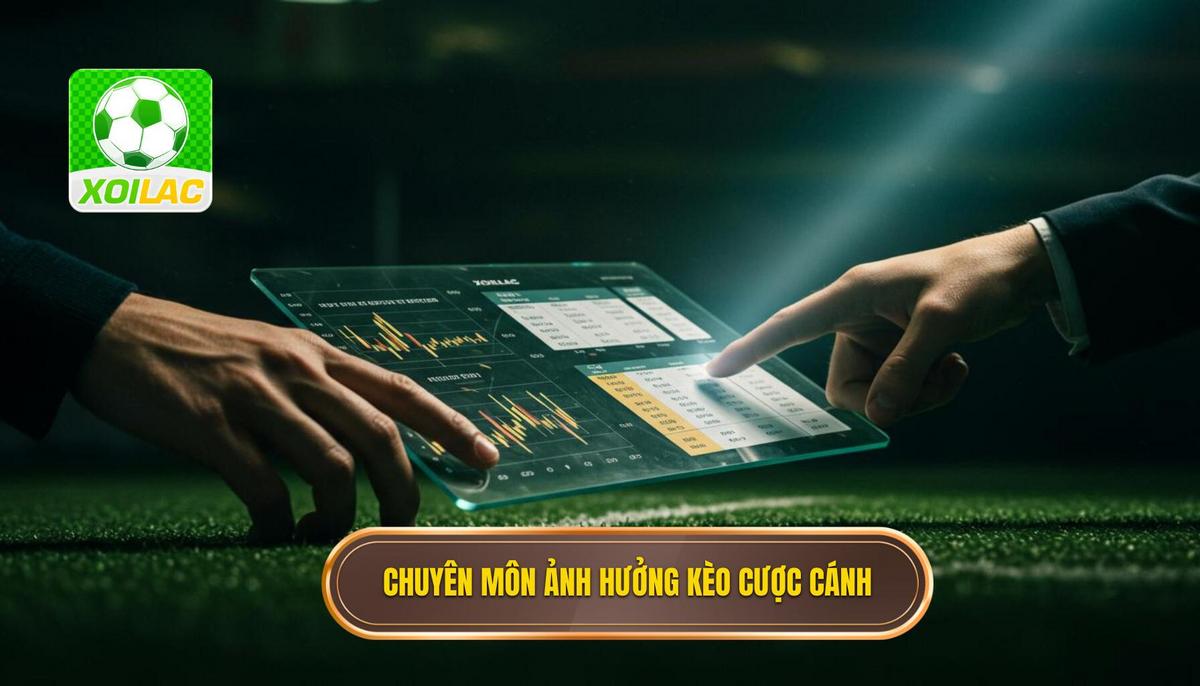 Yếu Tố Chuyên Môn Ảnh Hưởng Đến Kèo Cược Phối Hợp Cánh