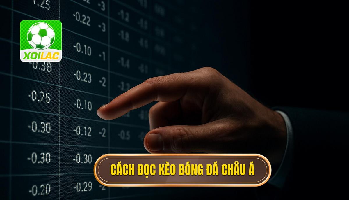 Cách đọc kèo bóng đá châu Á