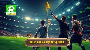 Việt vị khi nhận bóng từ quả ném biên