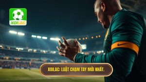 Luật chạm tay trong vòng cấm mới nhất