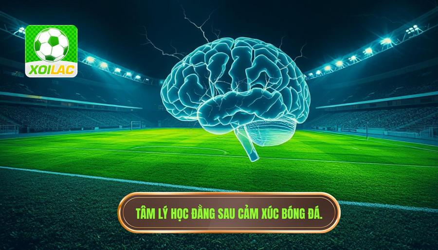 Tâm lý học đằng sau cảm xúc bóng đá
