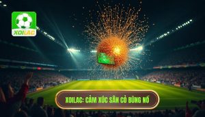 XOILAC Cảm xúc sân cỏ bùng nổ