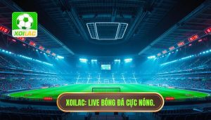 XOILAC Live bóng đá cực nóng.